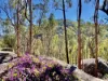 1969 Boree Valley Road, Laguna, NSW 2325-Image