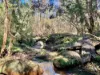 1969 Boree Valley Road, Laguna, NSW 2325-Image