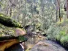 1969 Boree Valley Road, Laguna, NSW 2325-Image
