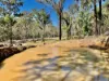 1969 Boree Valley Road, Laguna, NSW 2325-Image