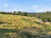 198 Bow Hill Road, Dollys Flat, NSW 2429-Image