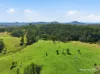 198 Bow Hill Road, Dollys Flat, NSW 2429-Image
