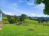 198 Bow Hill Road, Dollys Flat, NSW 2429-Image