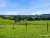 198 Bow Hill Road, Dollys Flat, NSW 2429-Image