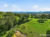 198 Bow Hill Road, Dollys Flat, NSW 2429-Image