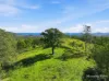 198 Bow Hill Road, Dollys Flat, NSW 2429-Image