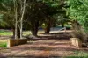 198 Rutters Ridge, Oberon, NSW 2787-Image