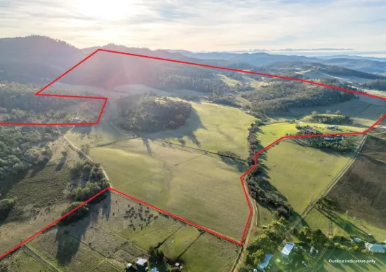 199 Williams Road, Tea Tree, Tas 7017