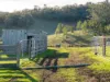199 Williams Road, Tea Tree, Tas 7017-Image