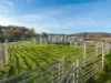 199 Williams Road, Tea Tree, Tas 7017-Image