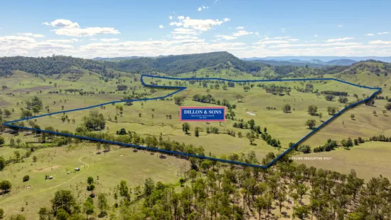 1993 Glendonbrook Road, Gresford, NSW 2311