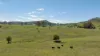 1993 Glendonbrook Road, Gresford, NSW 2311-Image