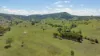 1993 Glendonbrook Road, Gresford, NSW 2311-Image