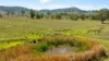 1993 Glendonbrook Road, Gresford, NSW 2311-Image
