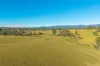 1995 Armidale Road, Willawarrin, NSW 2440-Image