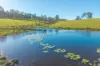 1995 Armidale Road, Willawarrin, NSW 2440-Image