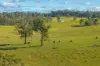 1995 Armidale Road, Willawarrin, NSW 2440-Image