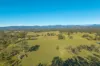 1995 Armidale Road, Willawarrin, NSW 2440-Image
