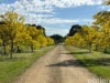 1995 Bengworden Road, Bengworden, Vic 3875-Image