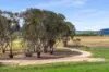1999 O'Connell Road, O'Connell, NSW 2795-Image