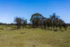 1D/1349 Aarons Pass Road, Mudgee, NSW 2850-Image