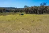 1D/1349 Aarons Pass Road, Mudgee, NSW 2850-Image