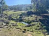 2/1193 Yarrabin Road, Mudgee, NSW 2850-Image