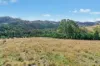 2/1193 Yarrabin Road, Mudgee, NSW 2850-Image