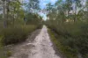 2, Berrys Road, Stockdale, Vic 3862-Image