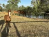 2 Millards Lane, Euroa, Vic 3666-Image