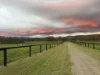 2 Millards Lane, Euroa, Vic 3666-Image