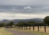 2 Millards Lane, Euroa, Vic 3666-Image