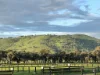 2 Millards Lane, Euroa, Vic 3666-Image