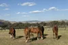 2 Millards Lane, Euroa, Vic 3666-Image