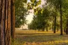 2 North  Street, Grafton, NSW 2460-Image