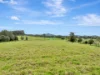2 Pawseys Road, South Arm, NSW 2449