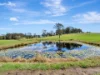 2 Pawseys Road, South Arm, NSW 2449-Image