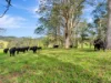 2 Pawseys Road, South Arm, NSW 2449-Image