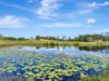2 Pawseys Road, South Arm, NSW 2449-Image