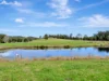 2 Pawseys Road, South Arm, NSW 2449-Image