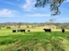 2 Pawseys Road, South Arm, NSW 2449-Image