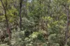 2, Thistlewaites Road, Briagolong, Vic 3860-Image