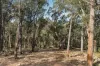 2, Thistlewaites Road, Briagolong, Vic 3860-Image