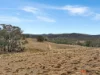 20 Good Good Road, Jerangle, NSW 2630-Image