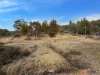 20 Good Good Road, Jerangle, NSW 2630-Image