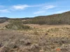 20 Good Good Road, Jerangle, NSW 2630-Image
