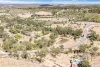 20 Mahes Rd, Bungadoo, Qld 4671-Image