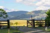 20 Manresa Park Road, Glendon Brook, NSW 2330-Image