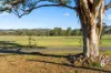 20 Manresa Park Road, Glendon Brook, NSW 2330-Image
