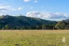 20 Manresa Park Road, Glendon Brook, NSW 2330-Image